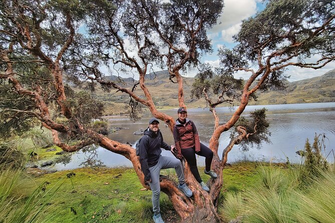 Cuenca to Guayaquil one-way tour with Cajas Park and a Cacao Farm visit - Laguna La Toreadora and the high country of Cajas
