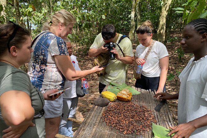 Day Trip Near Accra - Visit Aburi Gardens, Waterfall & Cocoa Farm - From Accra to the cooler Aburi hills
