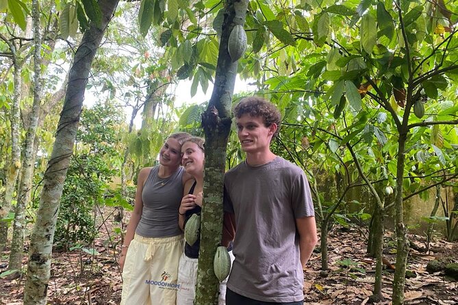 Day Trip Near Accra - Visit Aburi Gardens, Waterfall & Cocoa Farm - Oboadaka Falls: a scenic walk with a real climb back