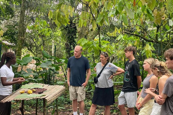 Day Trip Near Accra - Visit Aburi Gardens, Waterfall & Cocoa Farm - Aburi Botanical Gardens: one quiet hour among old trees