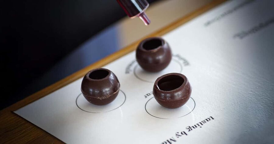 Divine Pairings: Wines & Chocolate Spheres in Saint-Émilion - From stainless steel to oak and concrete