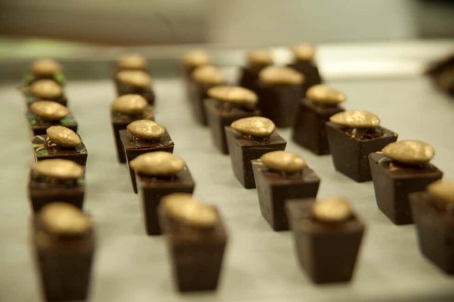 Dominican Republic: 3-Hour Chocolate Lovers Tour - Starting at El Sendero del Cacao in Duarte