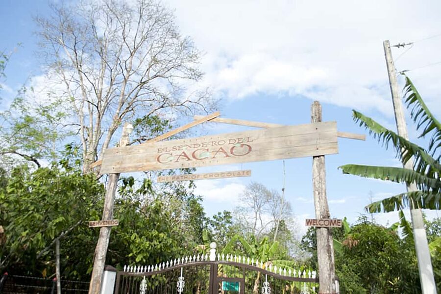 Dominican Republic: 3-Hour Chocolate Lovers Tour - Planting a cacao tree from the start