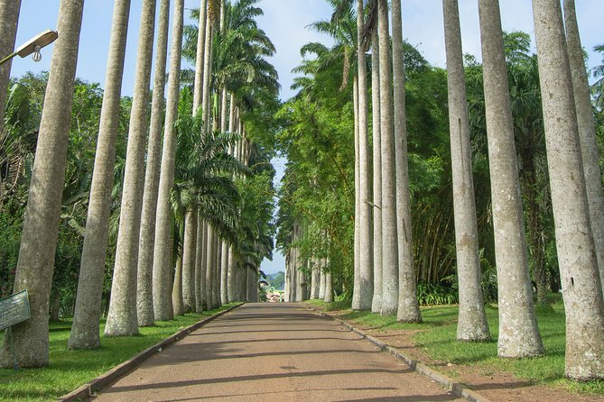 Escape Accra City to Aburi Gardens and Tetteh Quarshie Cocoa Farms - Key points to know before you book