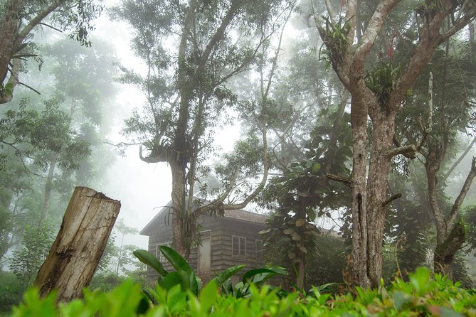 Escape Accra City to Aburi Gardens and Tetteh Quarshie Cocoa Farms - Aburi Crafts Village and the souvenir question