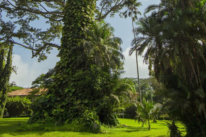 Escape Accra City to Aburi Gardens and Tetteh Quarshie Cocoa Farms - Timing, pickup, and making the day work