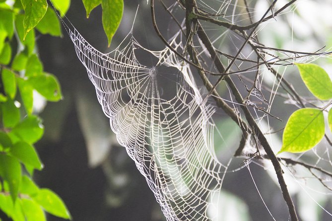 Escape Accra City to Aburi Gardens and Tetteh Quarshie Cocoa Farms - Who will get the most from this outing