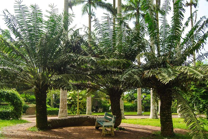 Escape Accra City to Aburi Gardens and Tetteh Quarshie Cocoa Farms - How the experience is likely to feel