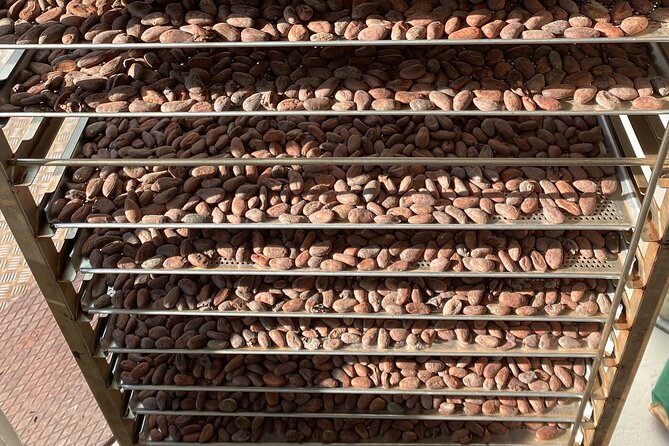 Ethical Chocolate Tour - Seeing bean-to-bar production in Wollishofen