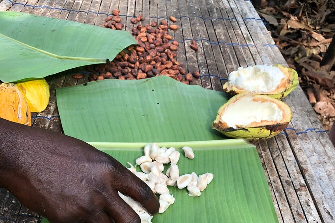 Experience Boti Waterfalls, Aburi Botanical Gardens & Tetteh Quarshie Cocoa Farm - Why Boti Waterfalls makes this a full day from Accra
