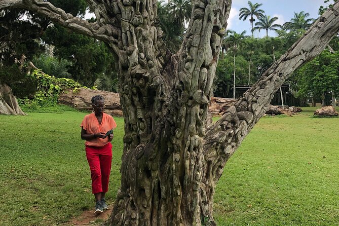 Experience Boti Waterfalls, Aburi Botanical Gardens & Tetteh Quarshie Cocoa Farm - Boti Waterfalls: the demanding heart of the outing