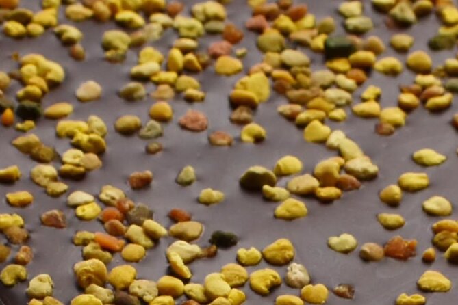 Fine Chocolate Tasting in Turin - Four styles, several makers, and a better way to taste
