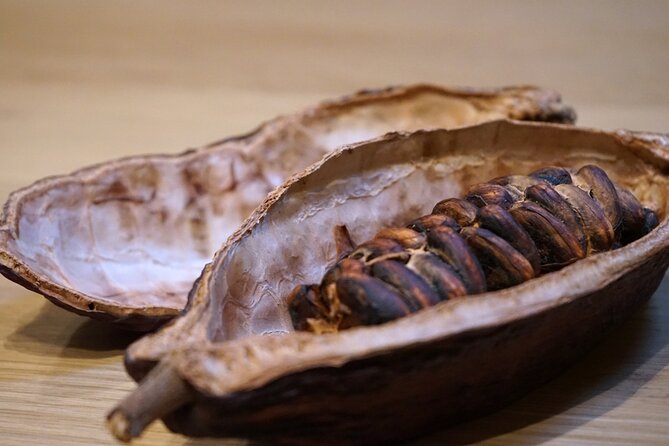 Fine Chocolate Tasting in Turin - Inside Chocolate7, a compact Turin tasting room