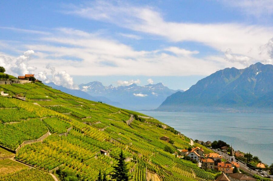 From Geneva: Gruyères Private Tour Cheese & Chocolat Factory - What the $646 price really buys