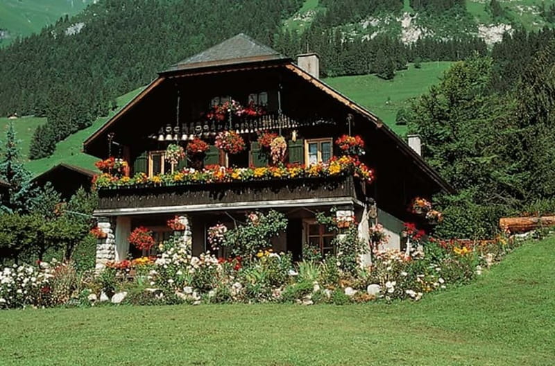 From Geneva: Gruyères Tour with Cheese & Chocolate Factories - Why this Geneva day trip works