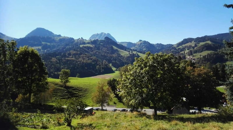 From Geneva: Gruyères Tour with Cheese & Chocolate Factories - Practical tips for a smoother day
