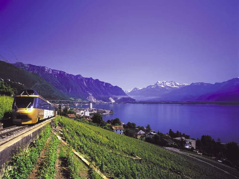 From Lausanne: Gruyères Tour with Train, Chocolate & Cheese - Seeing cheese made at Maison du Gruyère