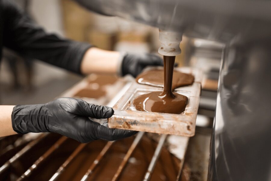 From Zurich: Chocolate and Cheese Tour in Appenzell - Who will enjoy this outing most?
