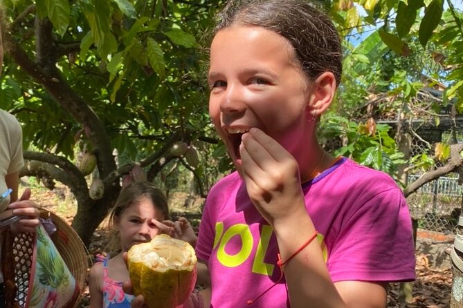 Full Day Experience to Farm and Chocolate - Key points at a glance