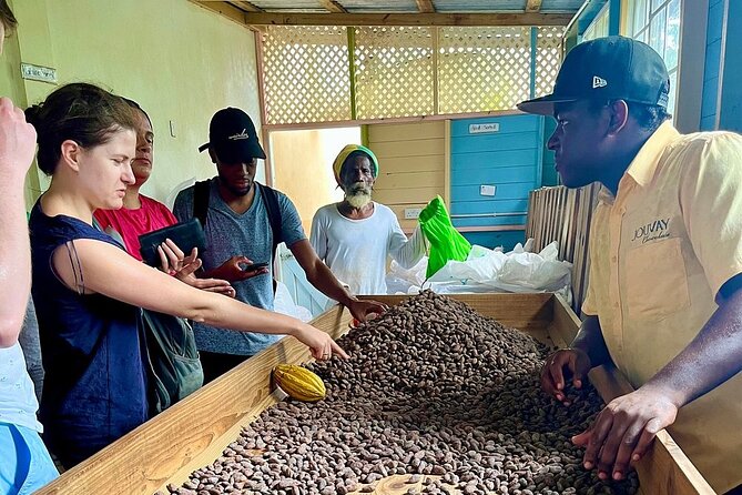 Full-Day Tour: Concord Waterfall, Chocolate Factory, Rum Distillery, Grand Etang - The guide can make or break the long drives