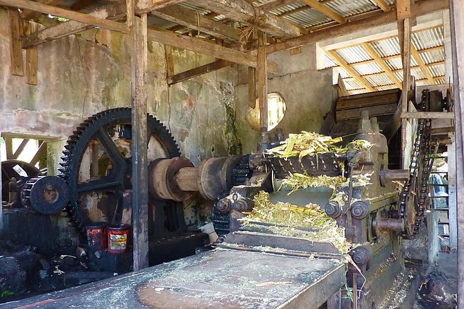 Full-Day Tour: Concord Waterfall, Chocolate Factory, Rum Distillery, Grand Etang - Is $115 a fair price for the day?