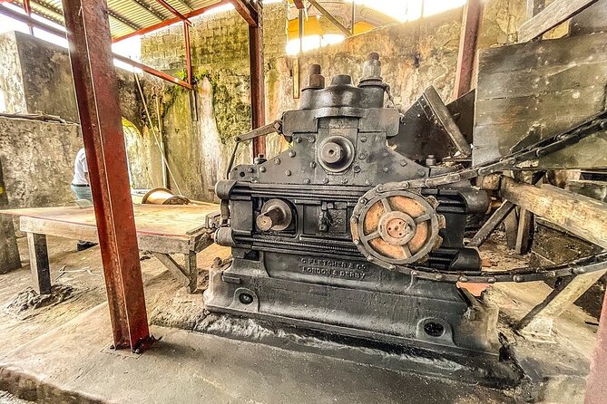 Full-Day Tour: Concord Waterfall, Chocolate Factory, Rum Distillery, Grand Etang - Who should book this Grenada tour?