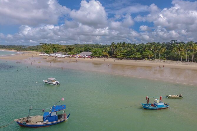 Full Day Tour in Trancoso with Chocolate Factory - Who should book this Trancoso day trip