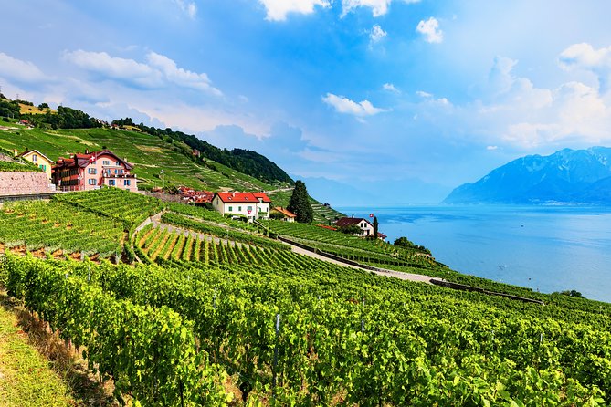 Geneva to Gruyère Private Day Trip. Cheese & Chocolate Tour - Who will enjoy this day most?