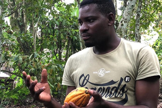 Ghana Eastern Explorer - Boti Falls, Aburi Gardens & Tetther Quarshie Cocoa Farm - Seeing the twin cascades at Boti Falls