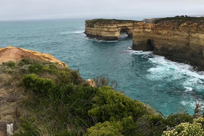 Great Ocean Road 12 Apostles kangaroo, koala and chocolate tour - A big Great Ocean Road day for a small price
