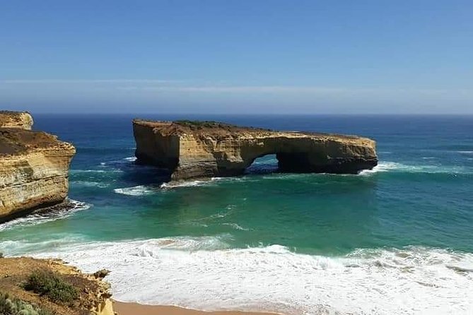 Great Ocean Road 12 Apostles kangaroo, koala and chocolate tour - The koala search depends on luck and local conditions