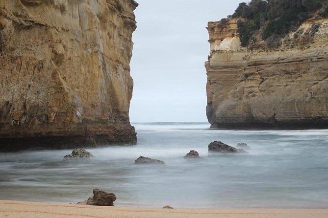 Great Ocean Road 12 Apostles kangaroo, koala and chocolate tour - Anglesea brings your first kangaroo search