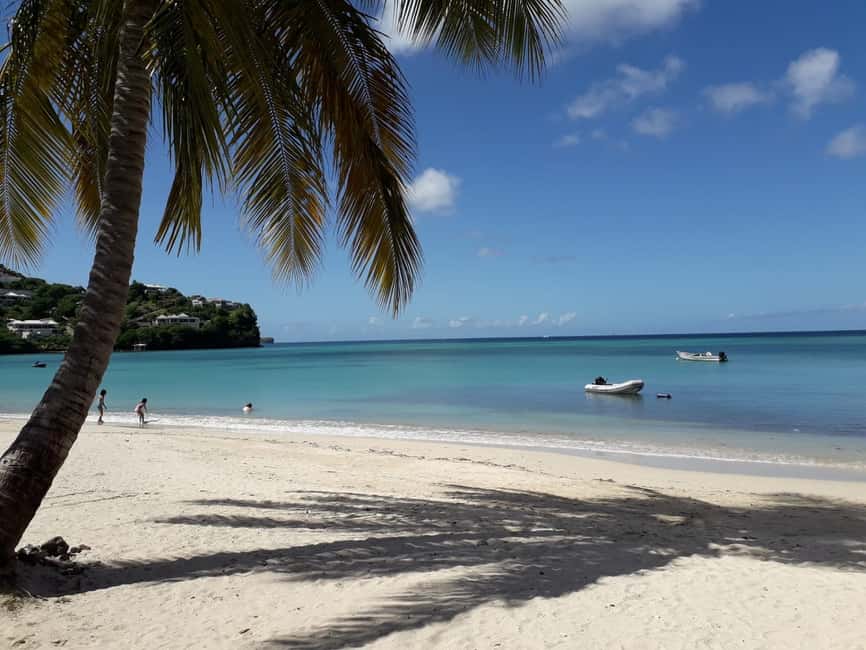 Grenada: Culture and Nature Island Tour with Chocolate & Rum - Why this six-hour tour works as a first look at Grenada