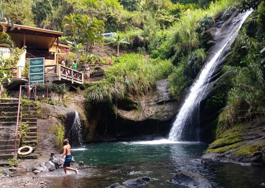 Grenada: Culture and Nature Island Tour with Chocolate & Rum - Spices and local products make the island feel real