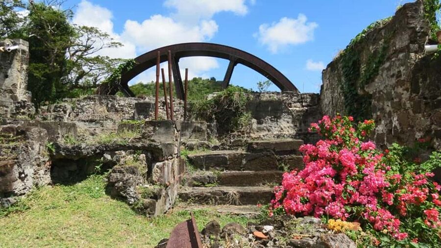 Grenada: Culture and Nature Island Tour with Chocolate & Rum - The guides are a major part of the value