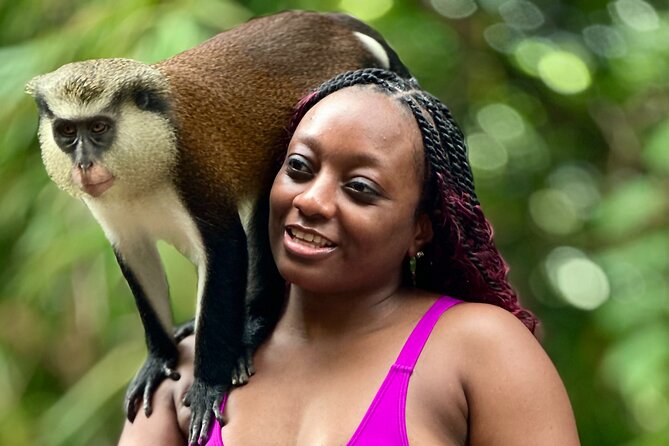 Grenada Day Tour-Concord Falls, Chocolate, Rum & Grand Etang Lake - Key points to know before booking