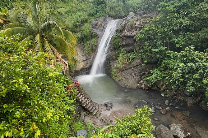 Grenada Half Day Tour: Fort, Spice, Falls, Chocolate & Lunch Stop - Fort Frederick and the view over St. George’s