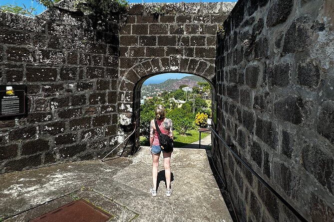 Grenada Half Day Tour: Fort, Spice, Falls, Chocolate & Lunch Stop - Is $160 a fair price for this Grenada tour?
