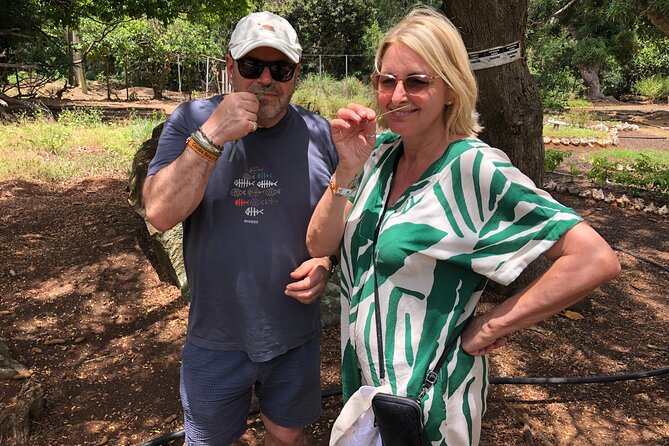Grenada Spice Gardens, Rum & Chocolate Tour (Full/Half Day) - Starting with chocolate at the House of Chocolate