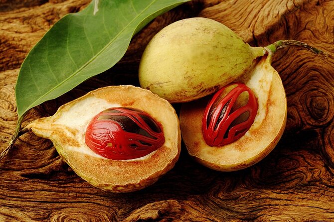 Grenada Spice Gardens, Rum & Chocolate Tour (Full/Half Day) - Clarke’s Court and the price of a rum tasting