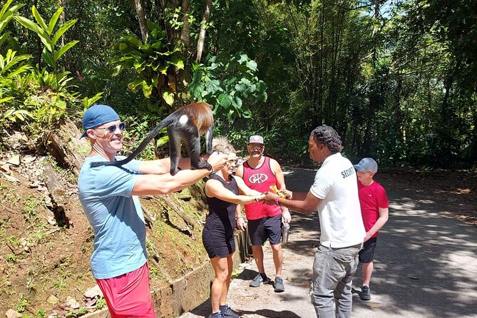 Grenada Spice with Rum and Cocoa Heritage Tour - Grand Etang Lake in the mountain interior