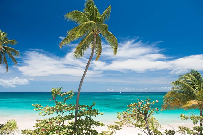 Grenada West Coast: Waterfalls, Chocolate & Rum Half-Day Tour - What this Grenada tour actually gives you