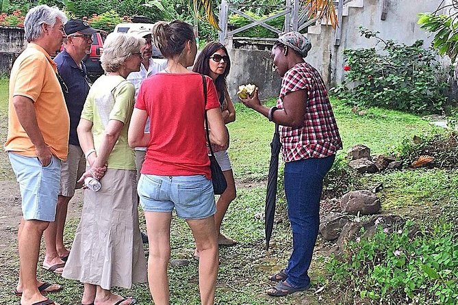 Grenada West Coast: Waterfalls, Chocolate & Rum Half-Day Tour - River Antoine: old rum and a strong finish