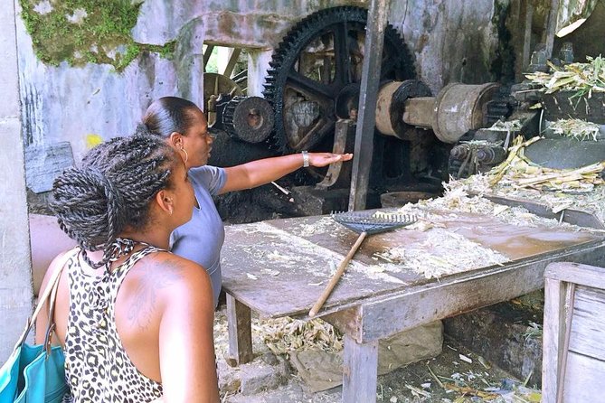 Grenada West Coast: Waterfalls, Chocolate & Rum Half-Day Tour - Your guide can make or break the day