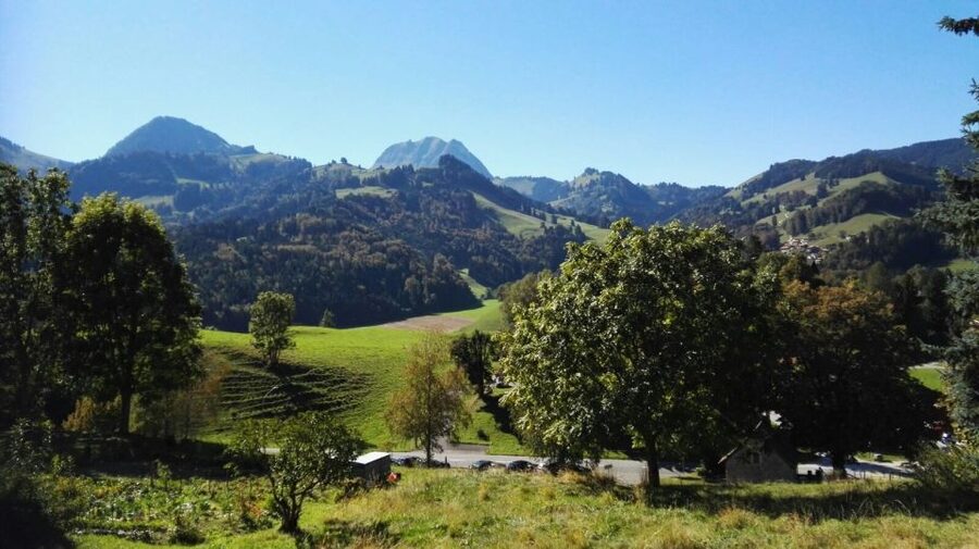 Gruyères, Cheese and Chocolate: Private Tour - Free time in the medieval village of Gruyères