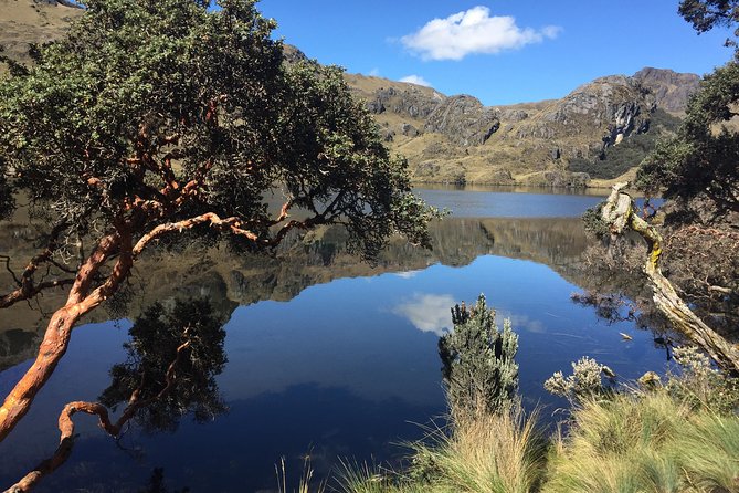 Guayaquil to Cuenca one-way tour with Cajas Park and a Cacao Farm visit - Who should book this transfer?