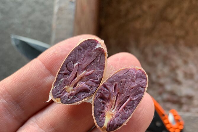 Guided tour of the Artisan Chocolate Factory in Tuscany - From Nicaraguan Cocoa Beans to Chocolate Bars