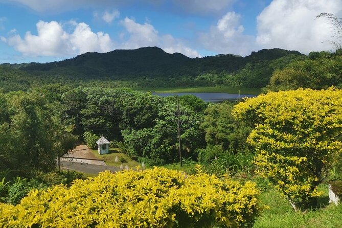 Half-Day Concord Waterfall and Chocolate Factory Tour - Gouyave and the Diamond Chocolate Factory
