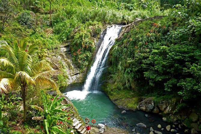 Half-Day Concord Waterfall and Chocolate Factory Tour - Starting in St. George’s and crossing the island