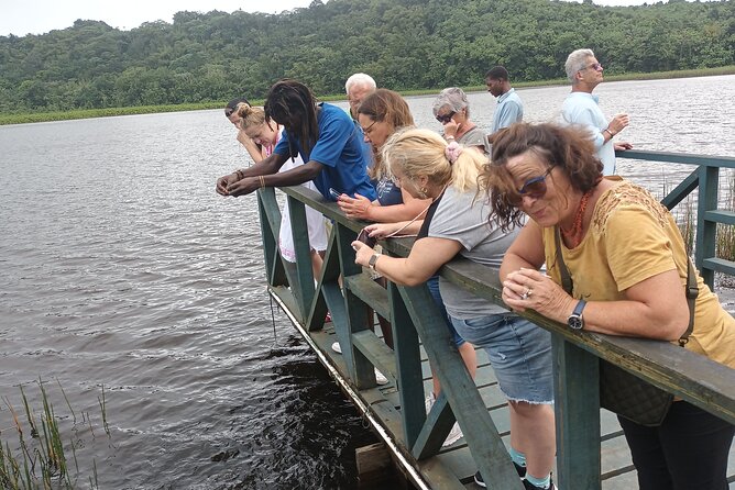 Half-Day Hawaiian Leis Chocolate Waterfalls Beach Tour - Grand Etang National Park at 582 meters